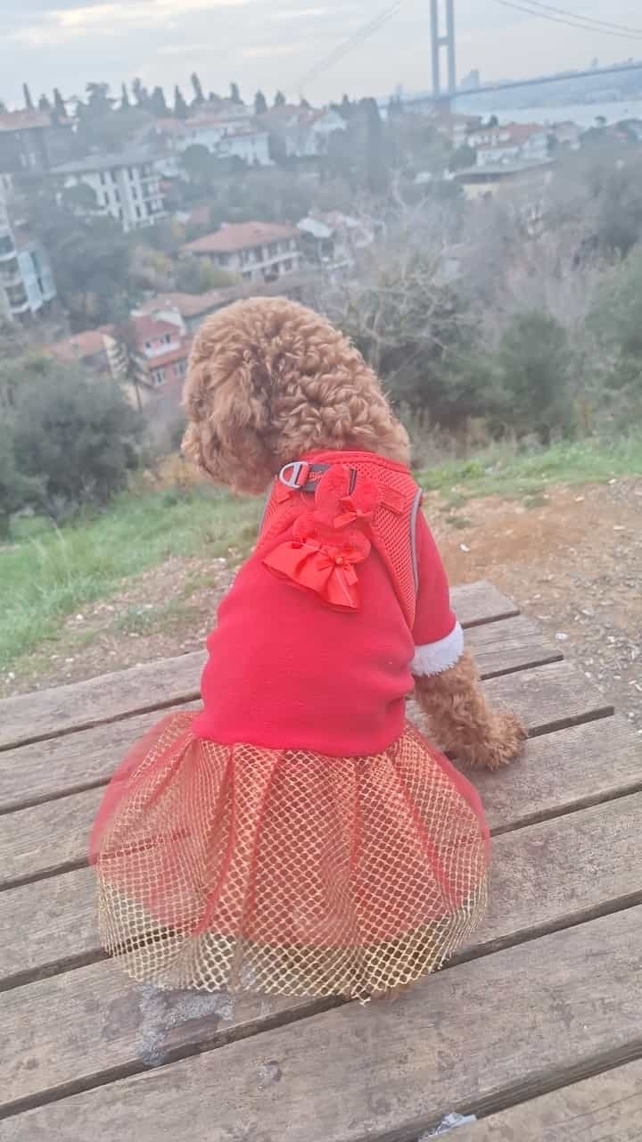 Zeynep