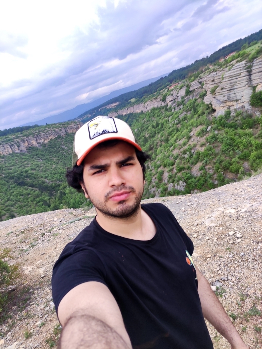 Ali