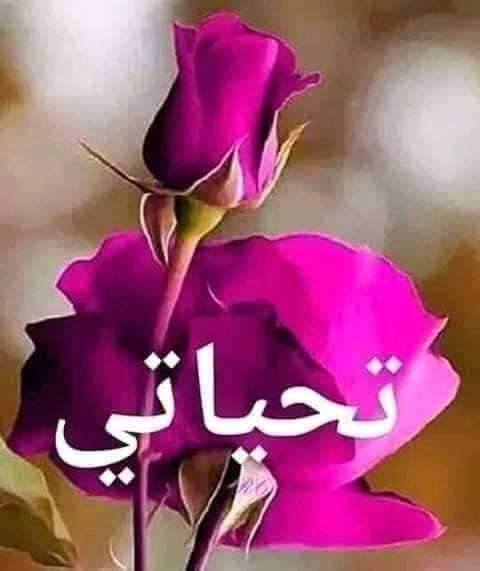 جابر.