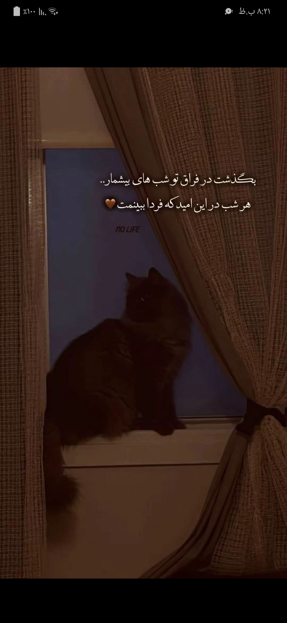 توریالی
