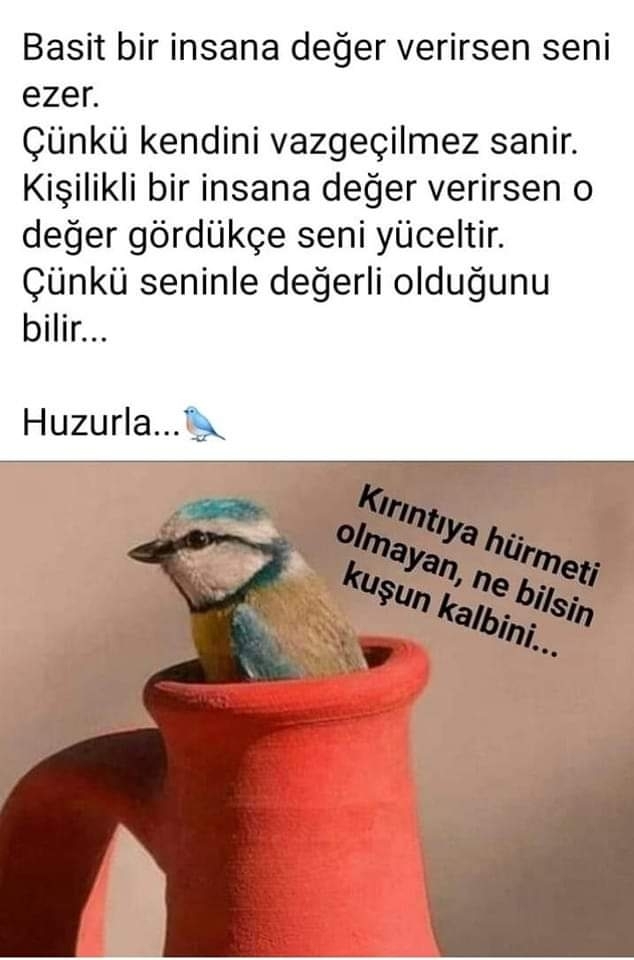Hava