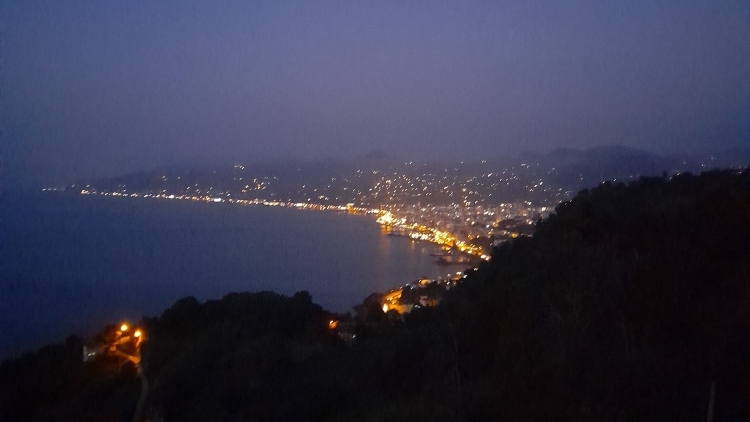 Birgül