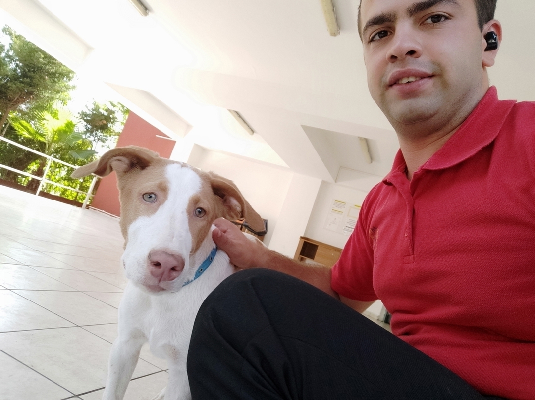 Veysel