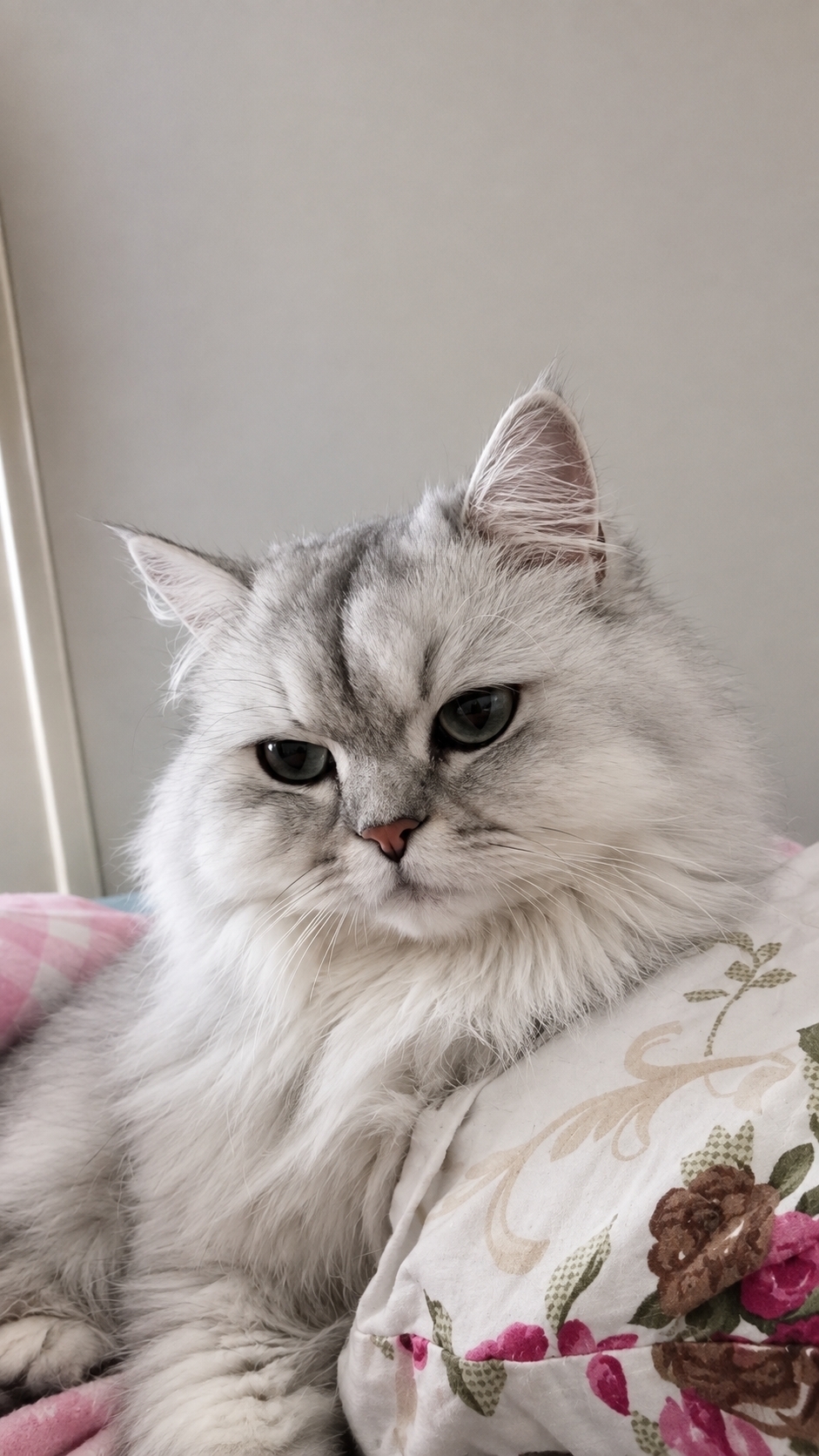 Zeliha