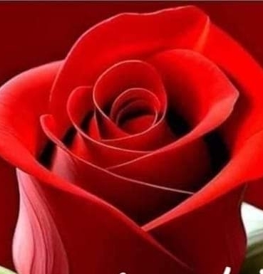 Harpal