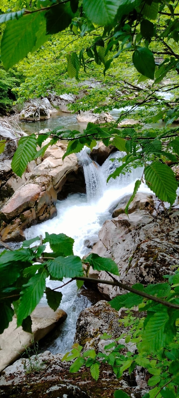 Gülten