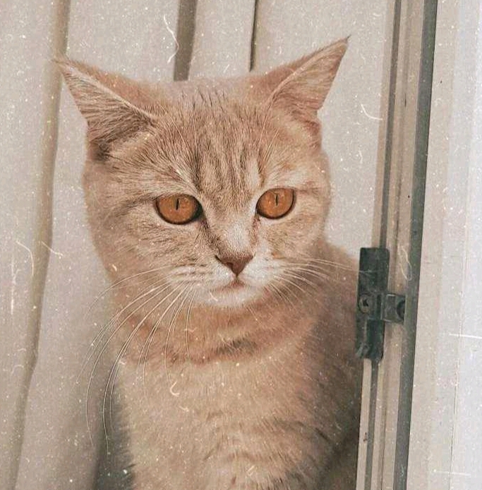 Mine