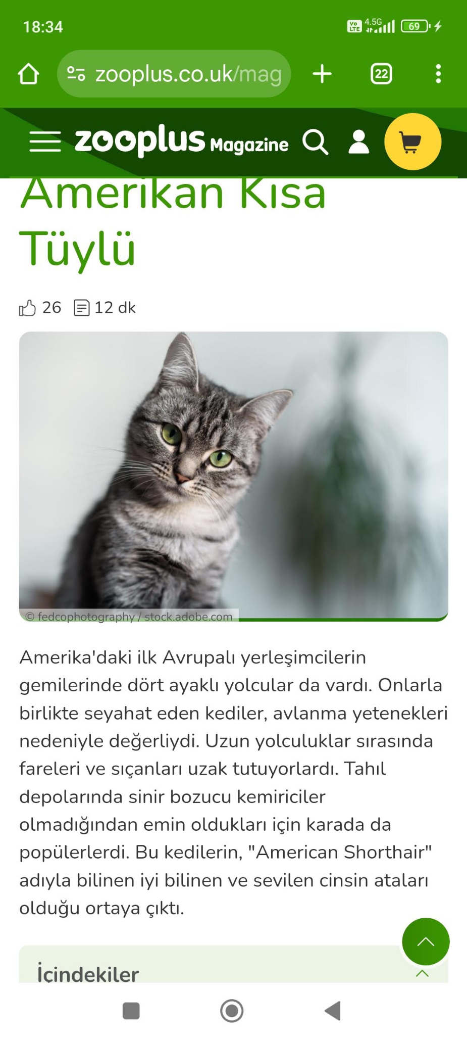 Sevilay