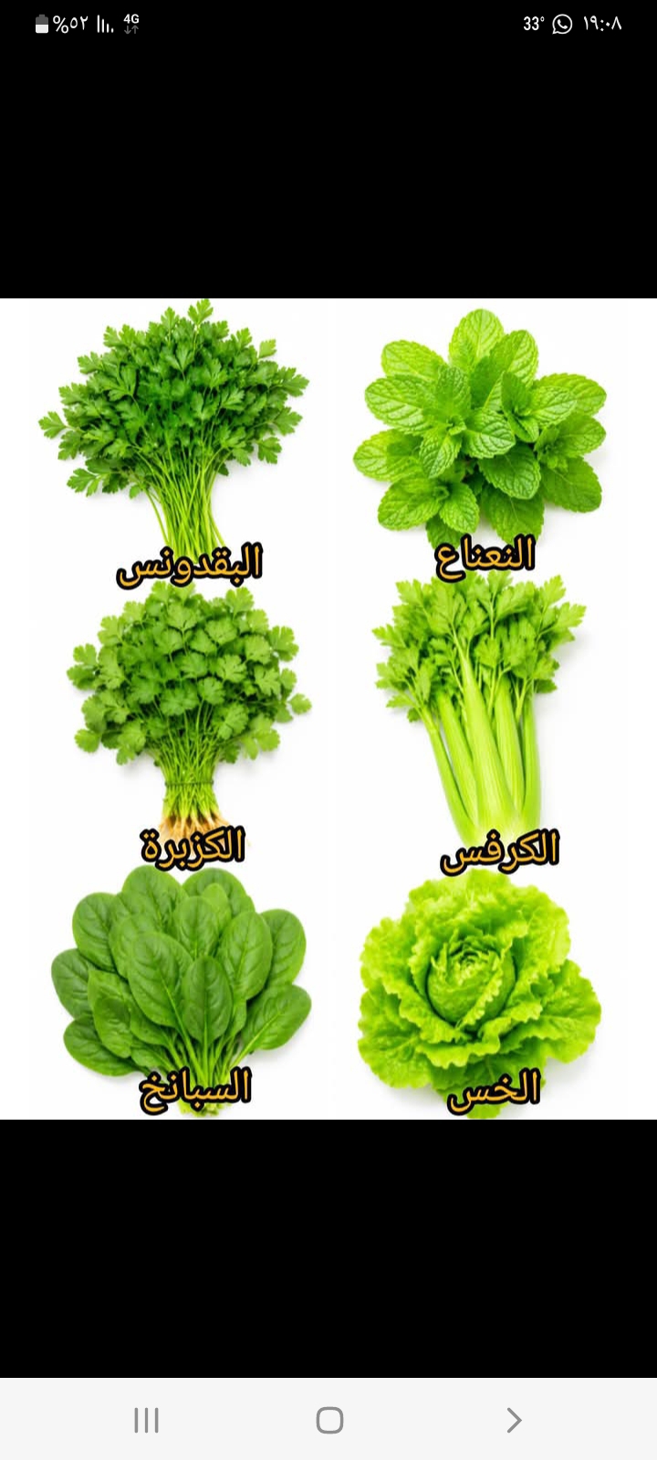 Mohammad