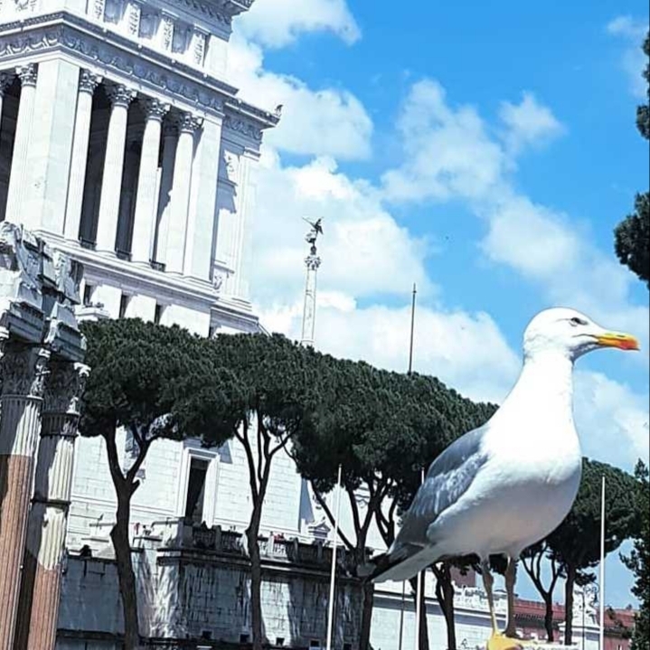Mira