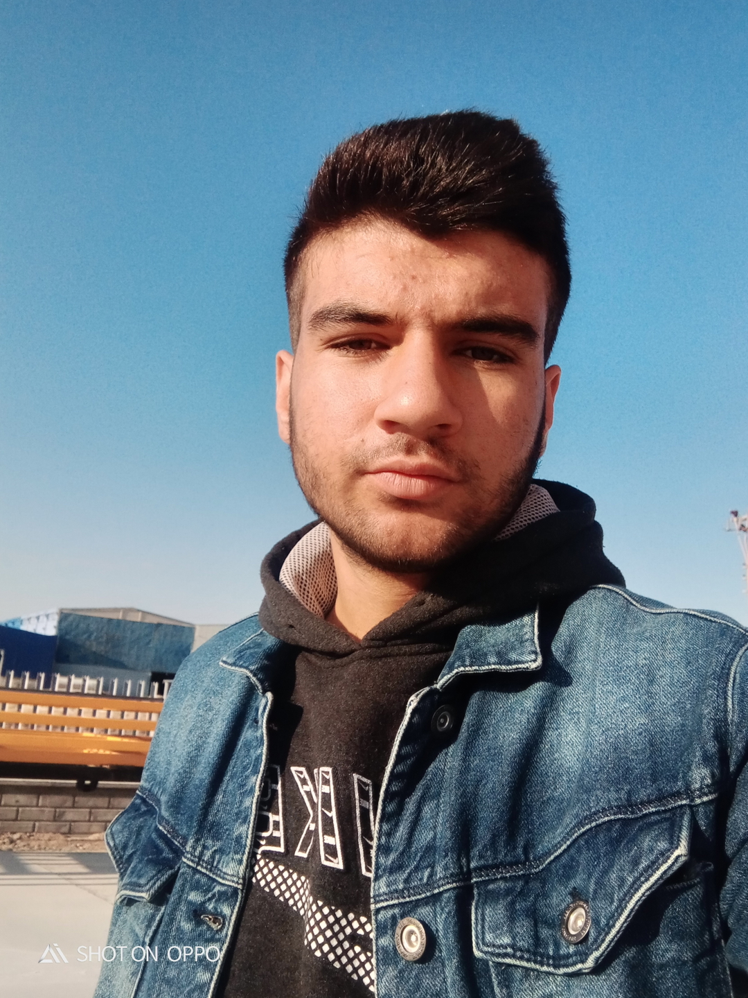 Mahmut