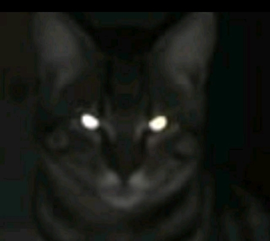 Mac