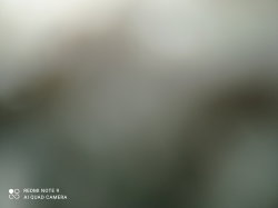 Of