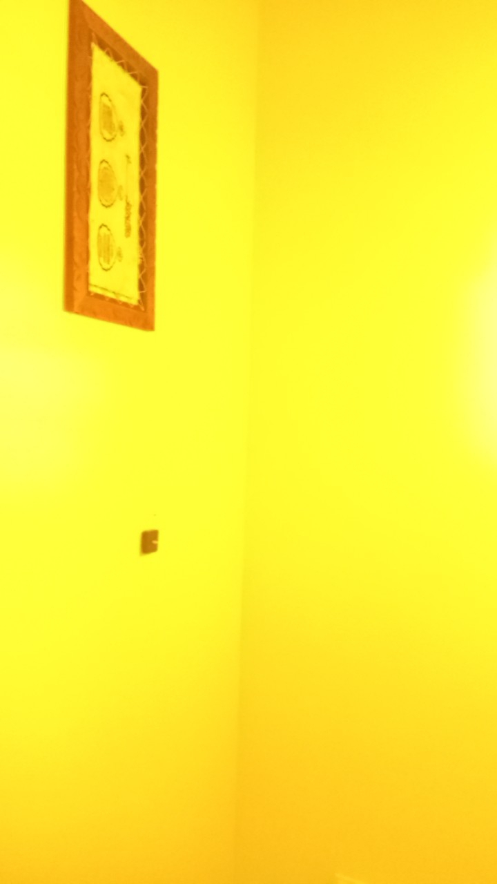 Nur