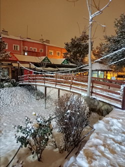Zeynep