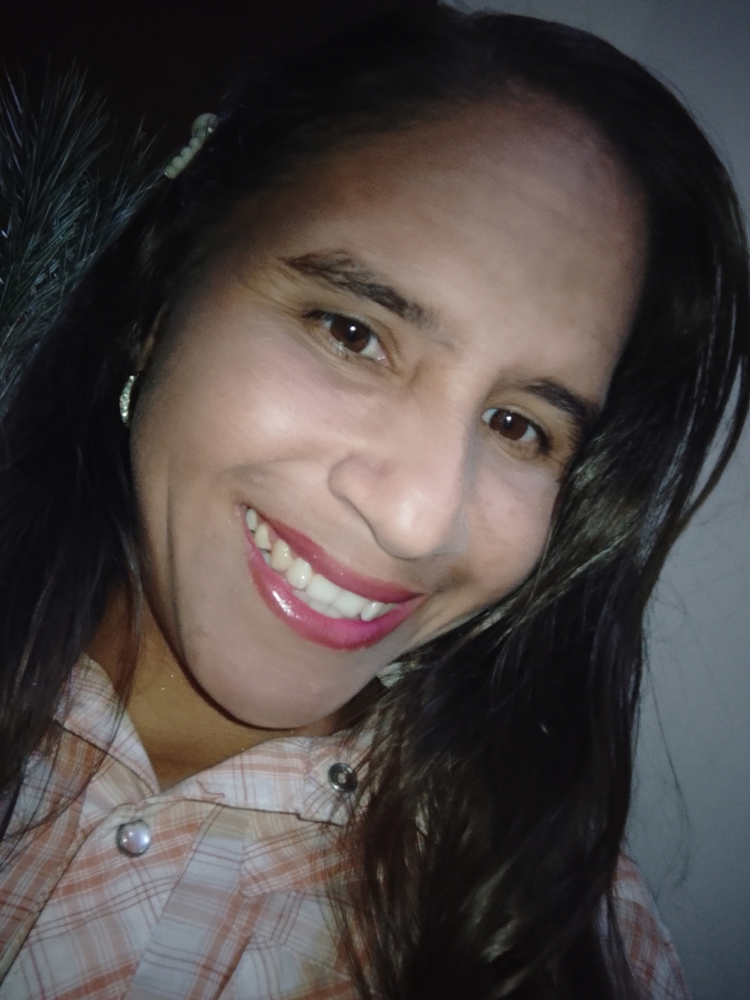 Ayarelis
