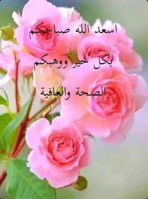 Samer