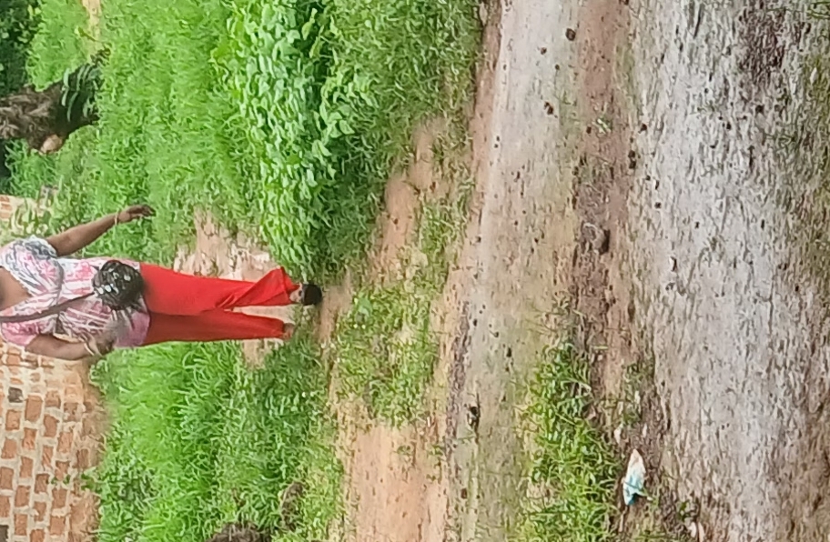 Mahmoud