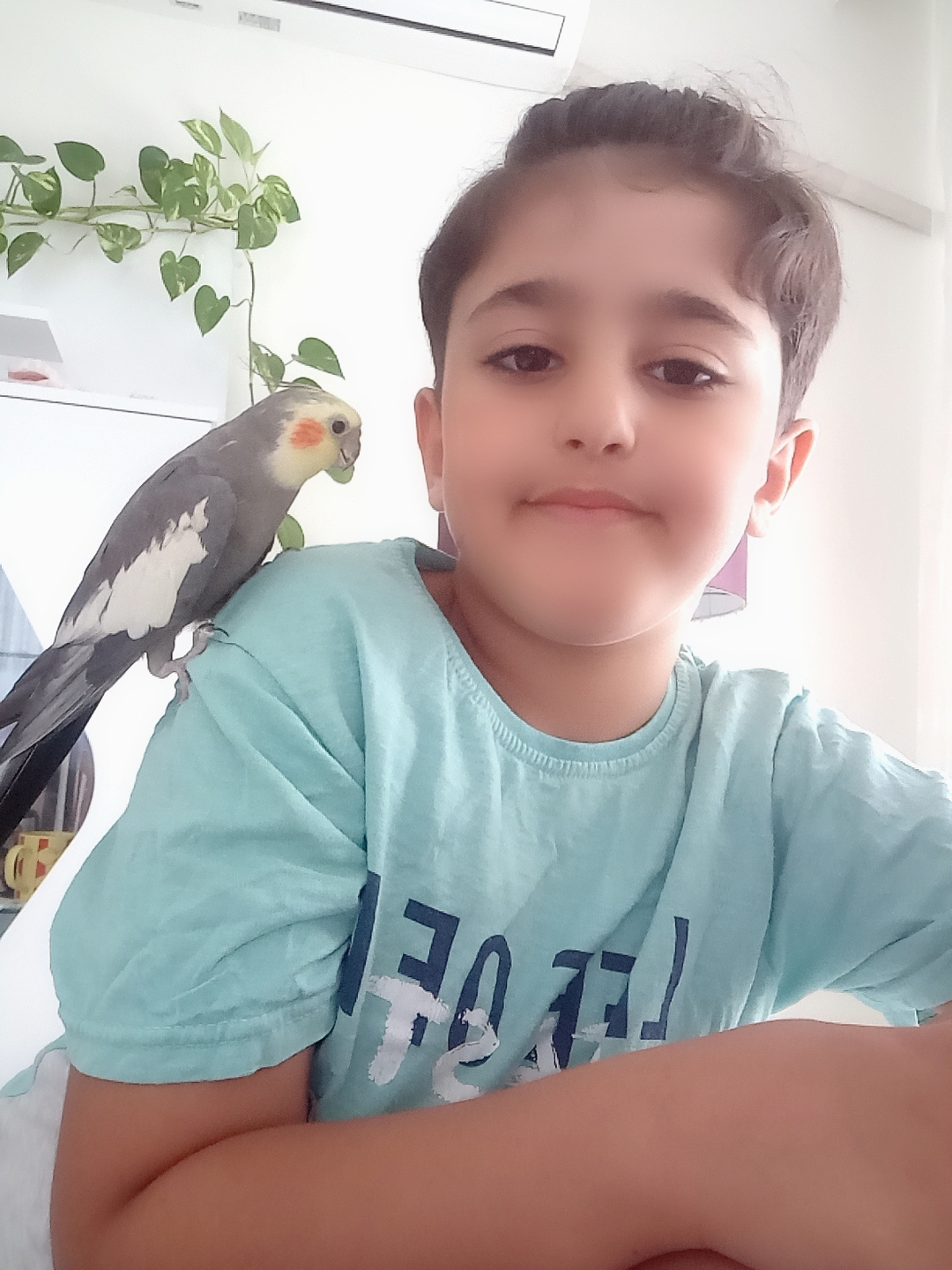 Halit