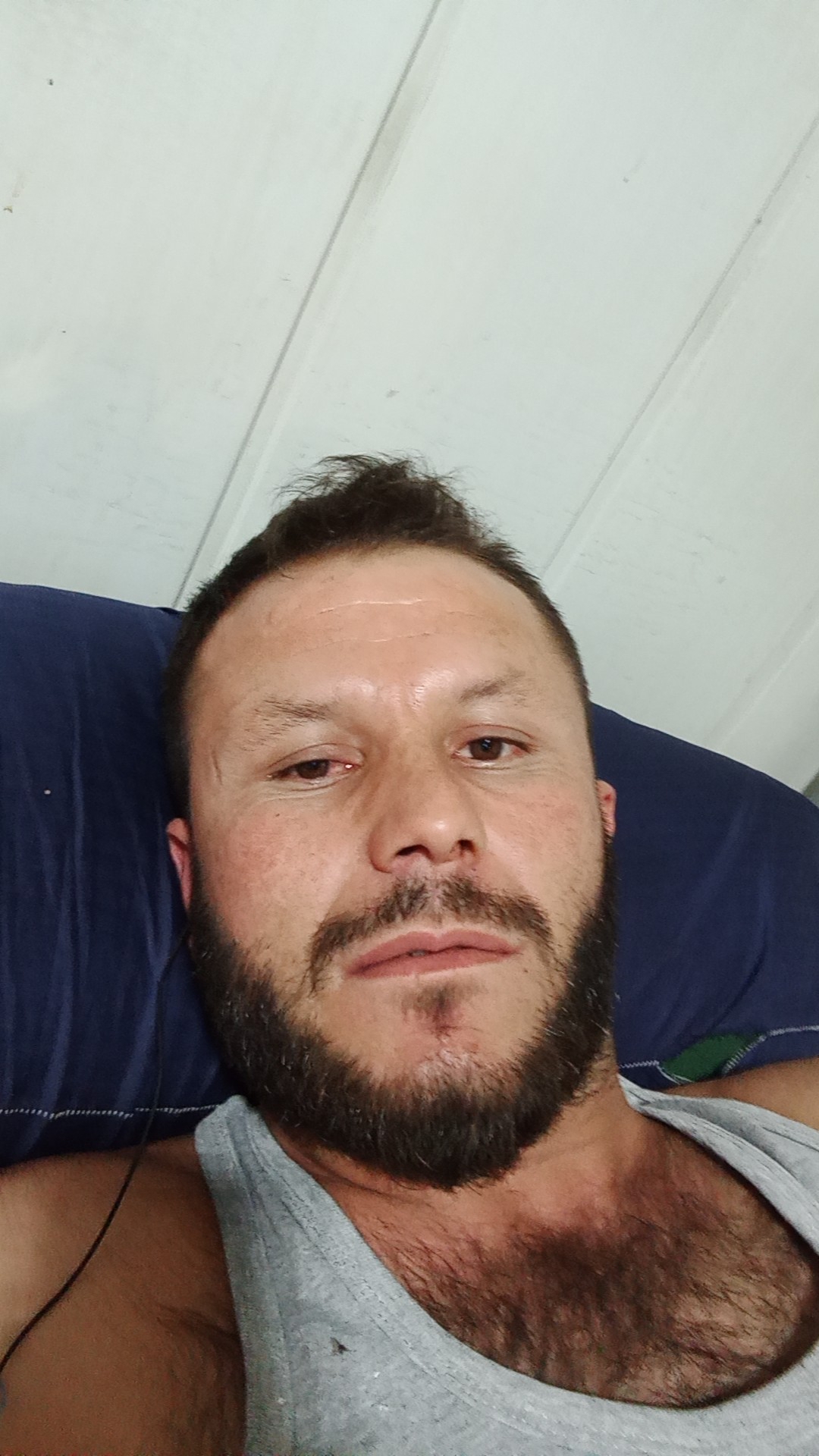 Mahmut