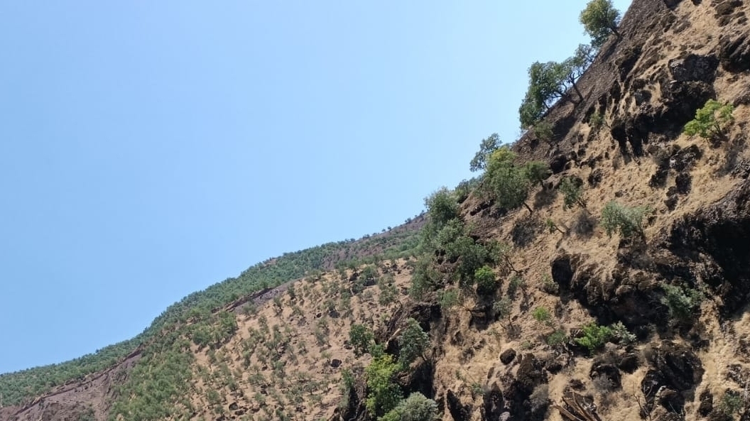 Msutafa