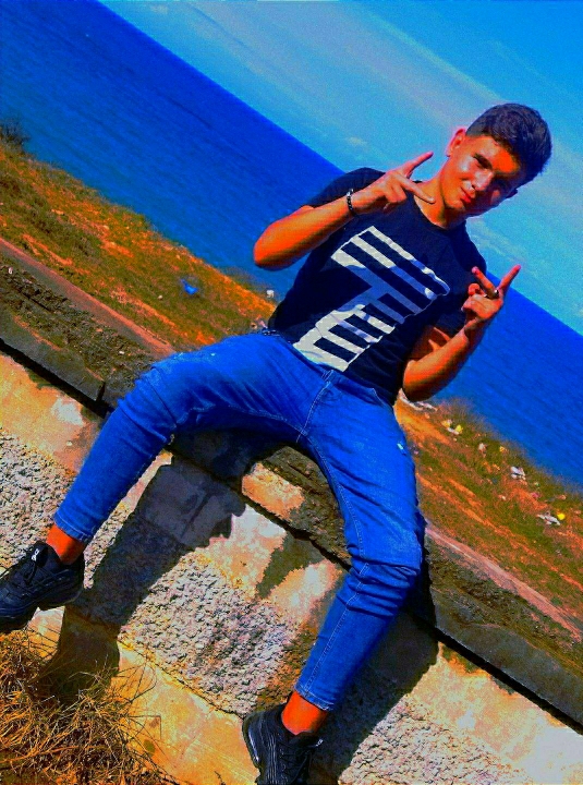 Anis