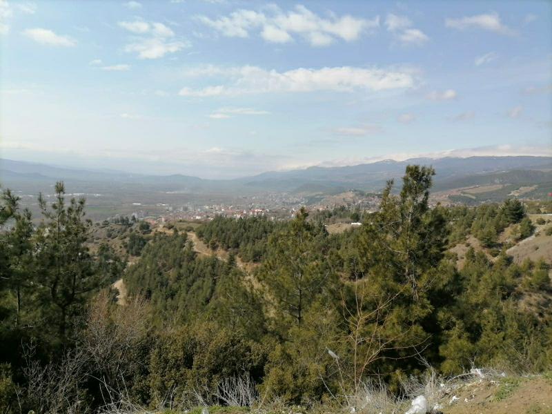 Yusuf