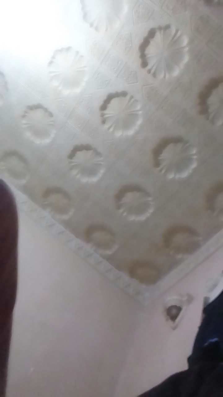 سمير