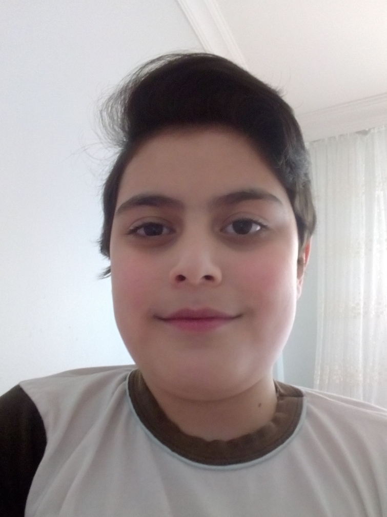 Erol
