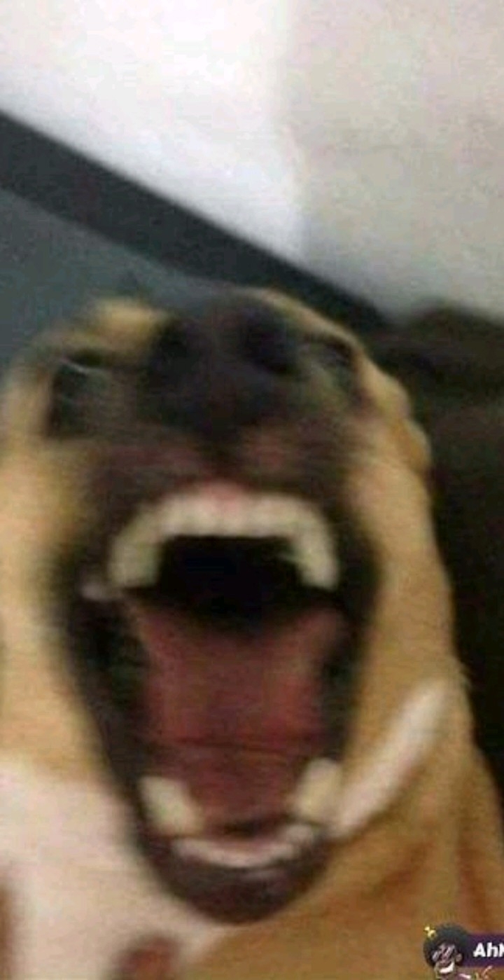 Wall