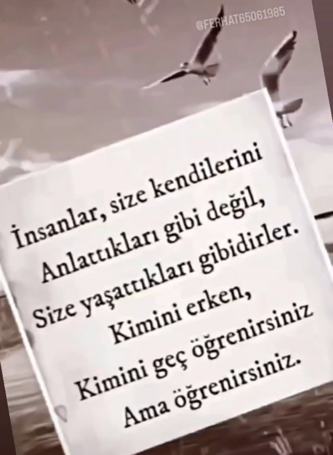 Bzdn