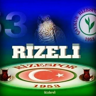 Erdal