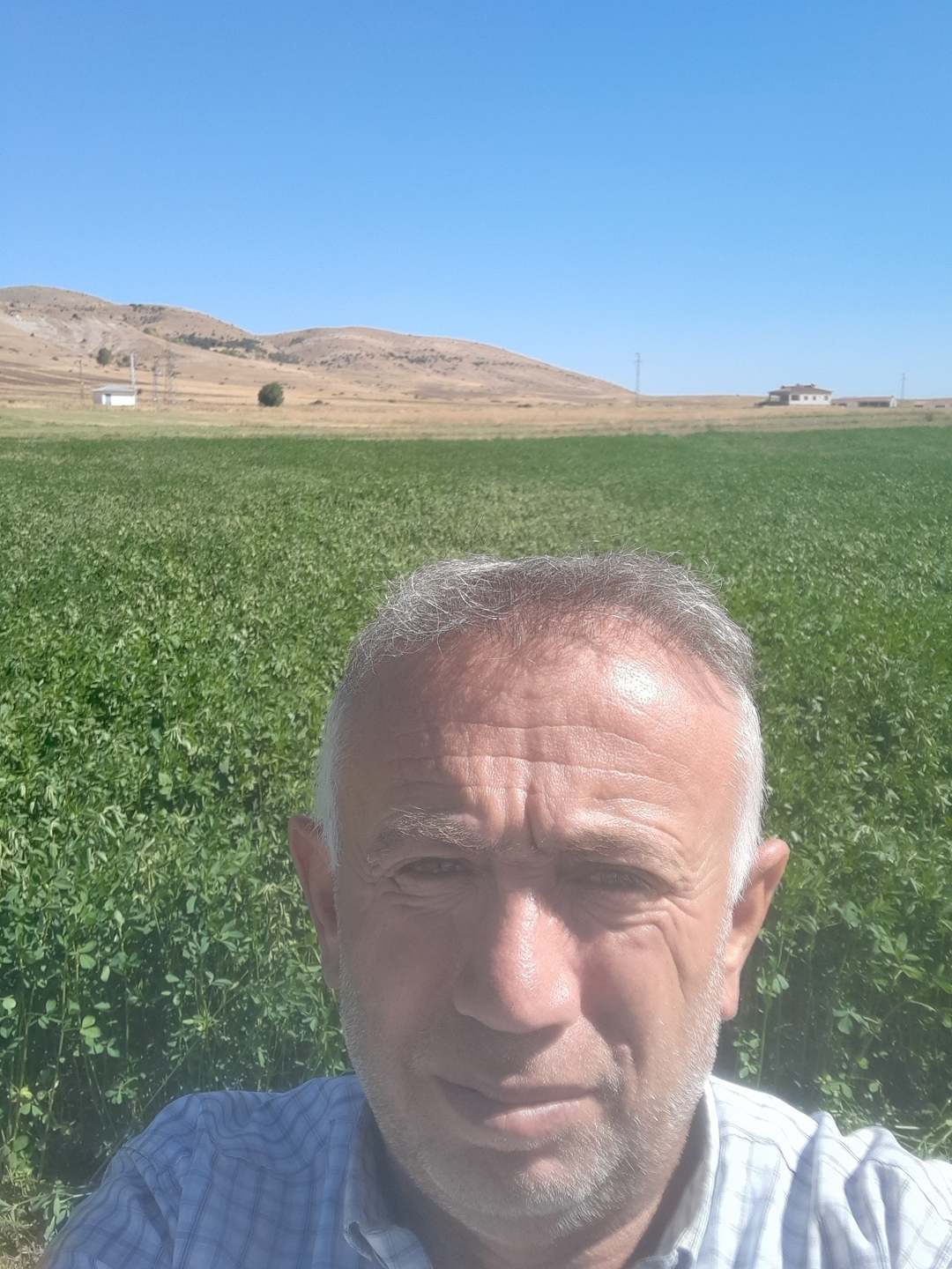 Mahmut