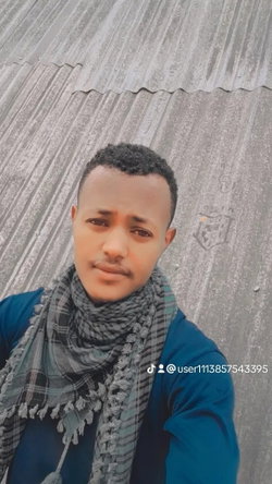 ላያስችል