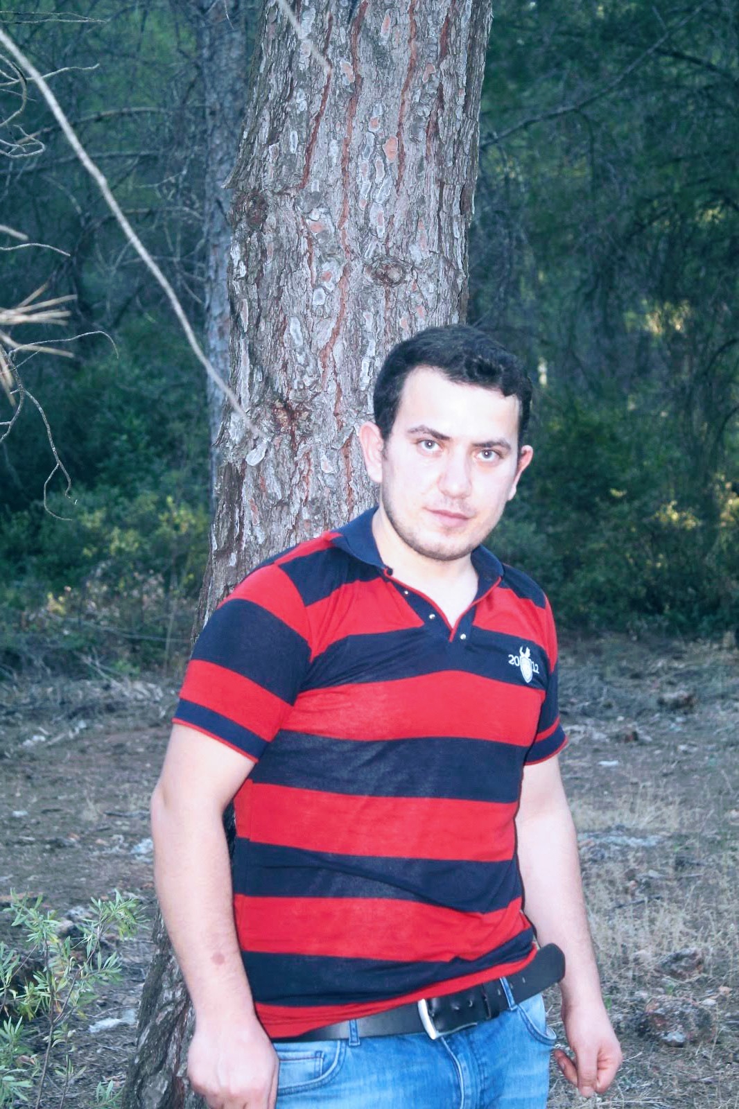 Arif