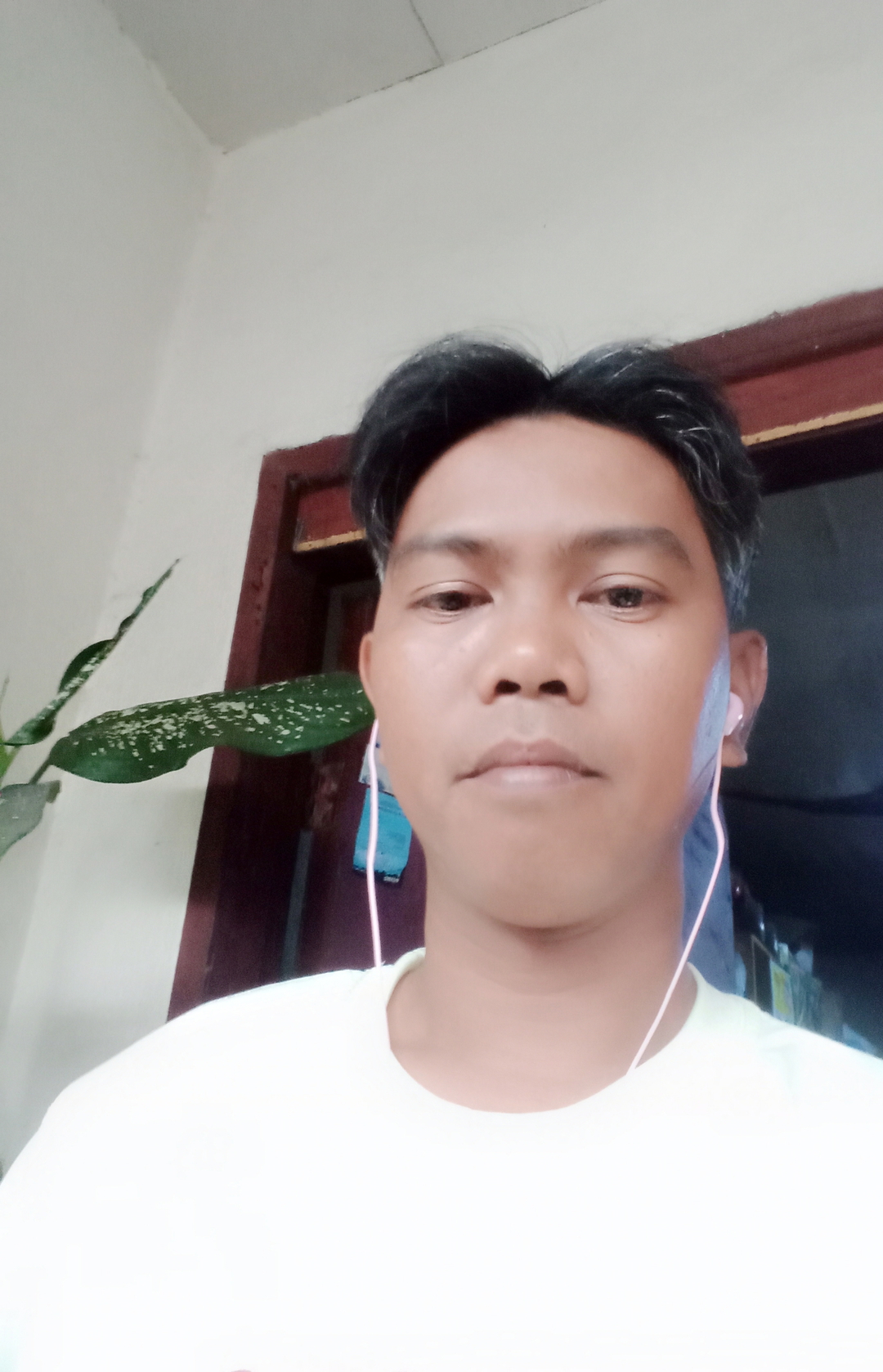 Arnold