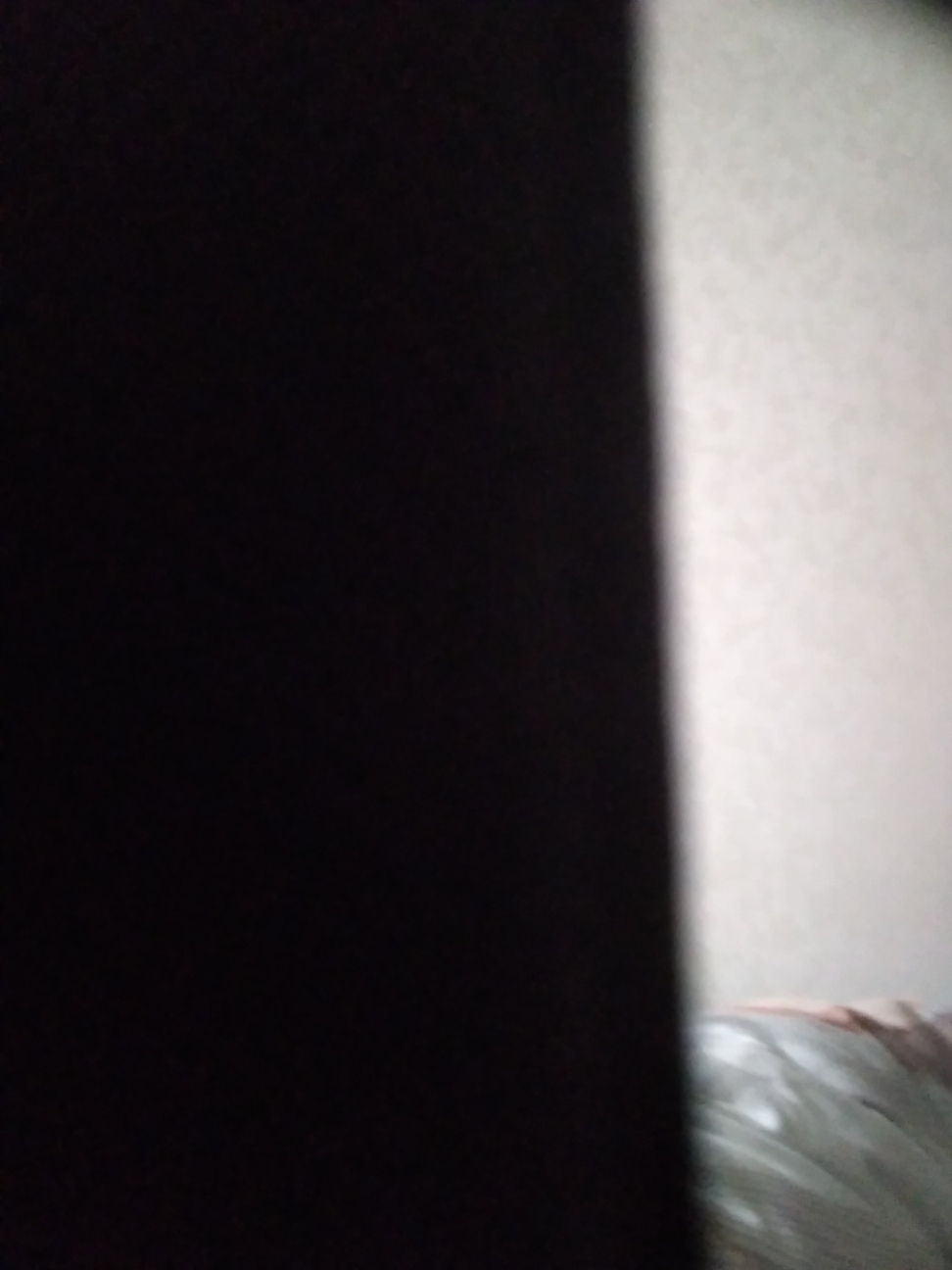 Bisa