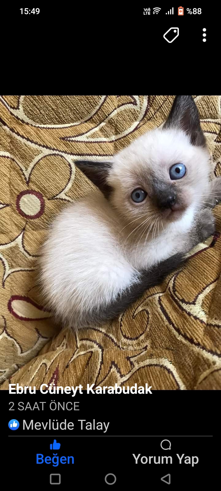 Mevlude