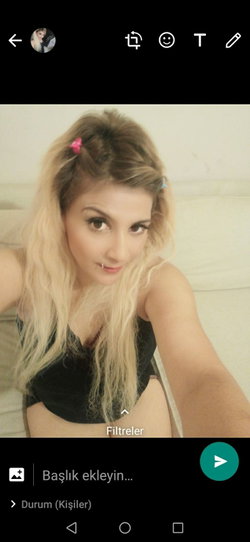 M Dilara