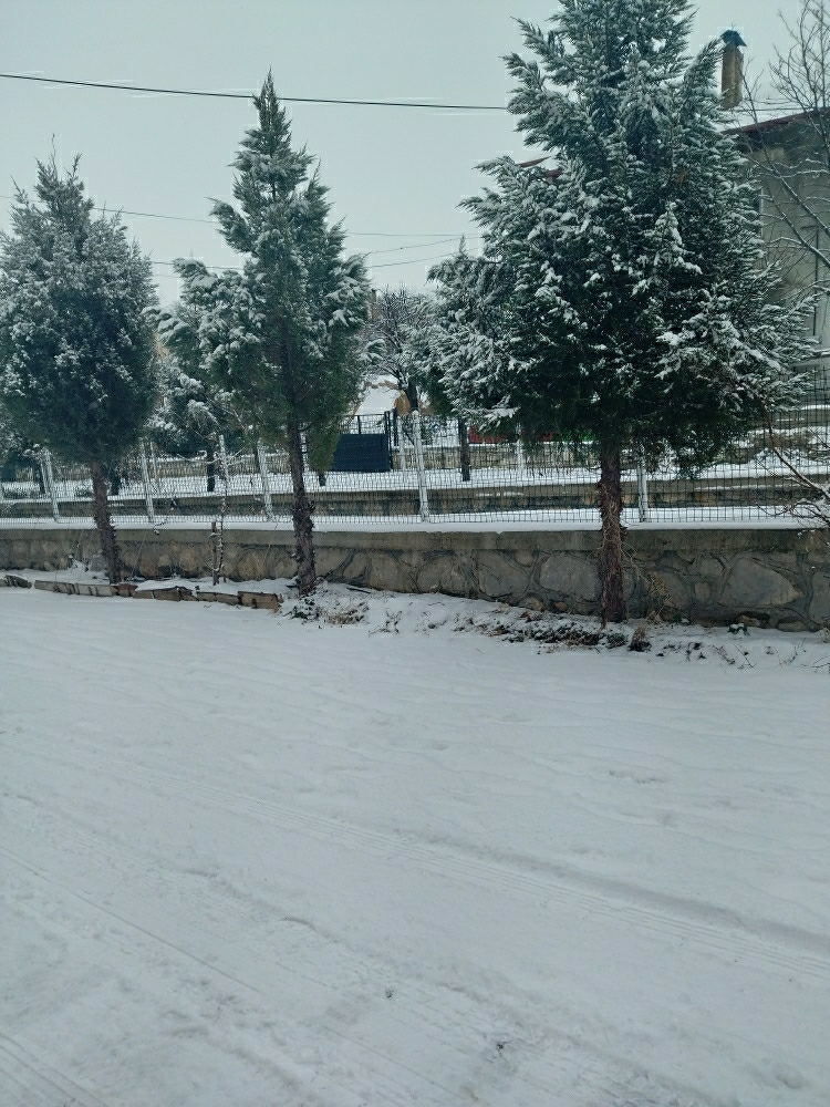 Nazlı
