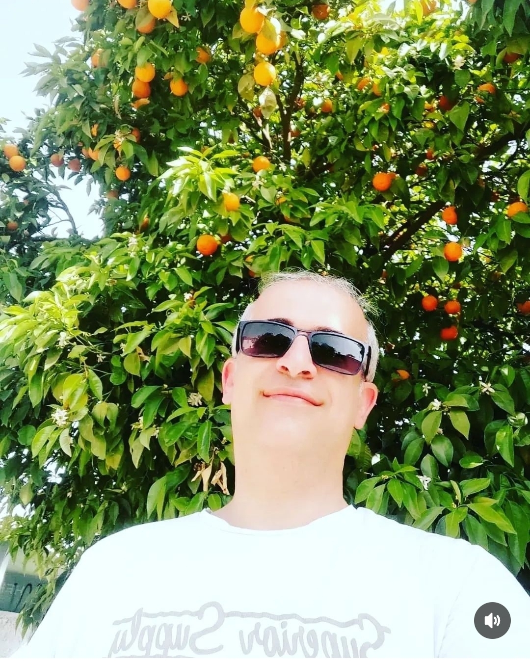 Aydın