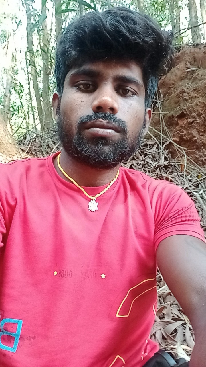Babul