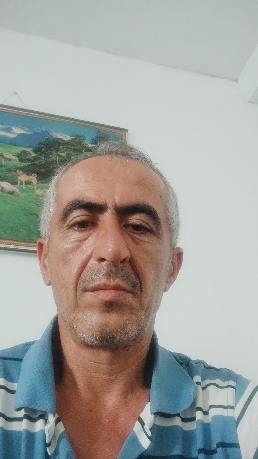 İmdat