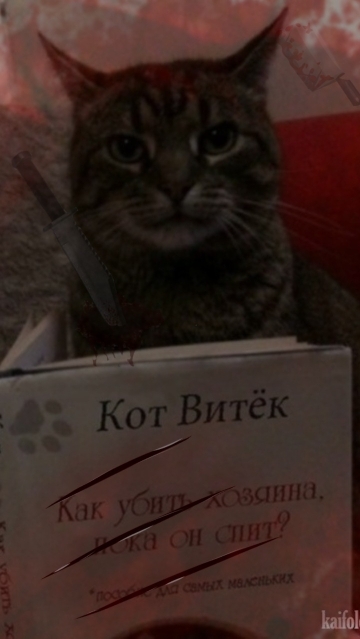 Лиза