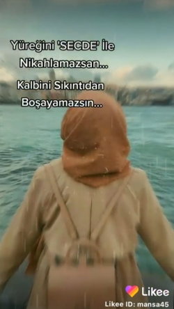 Sedef