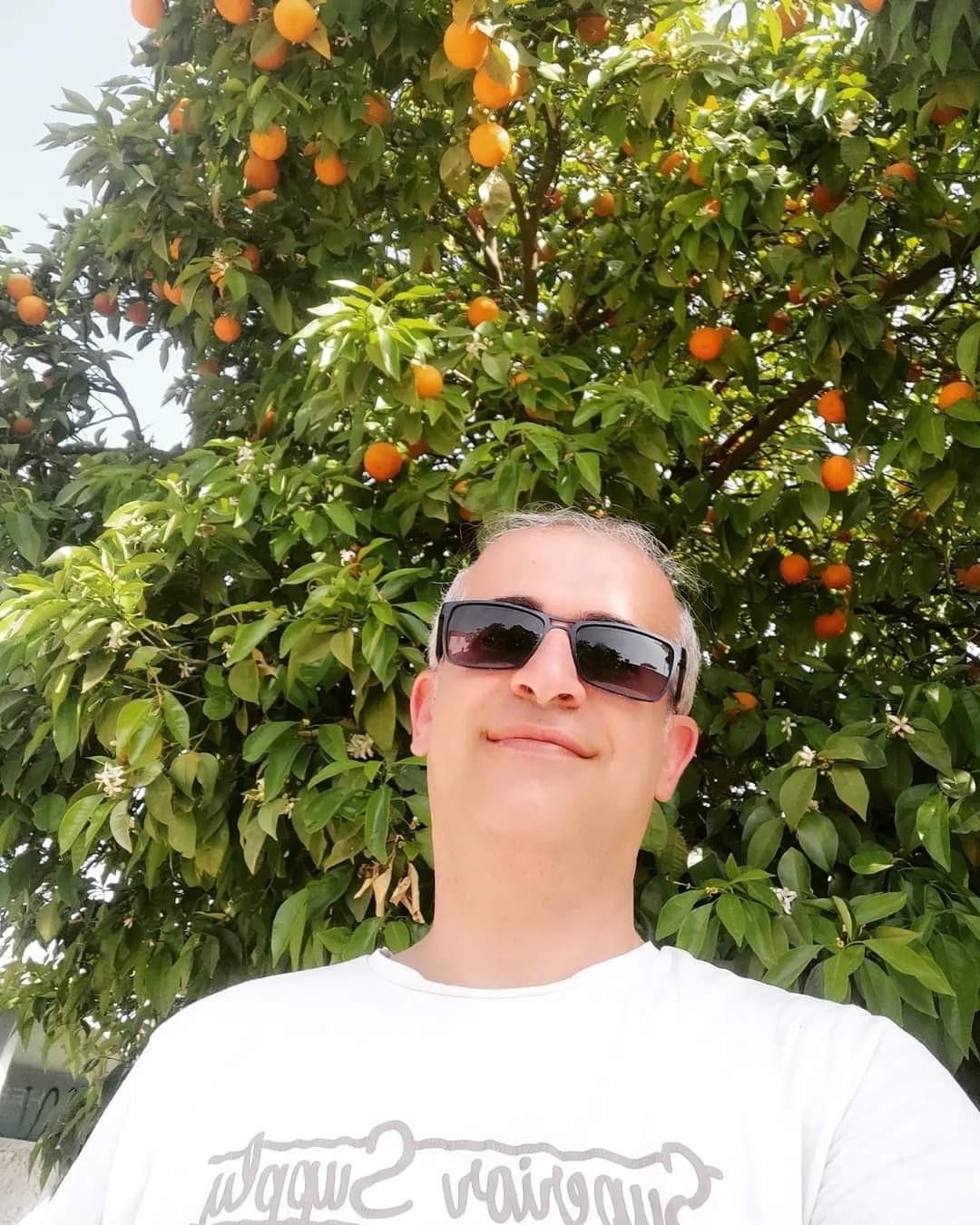 Aydın