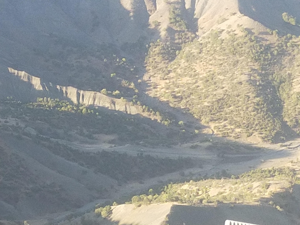 Guzel