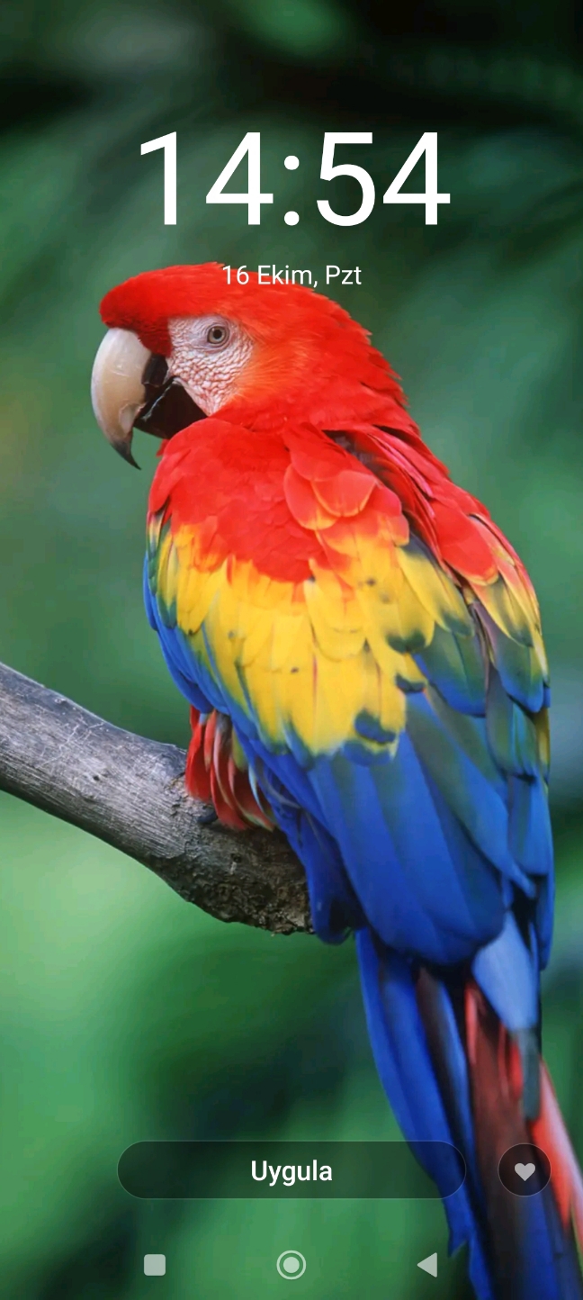 Sinem