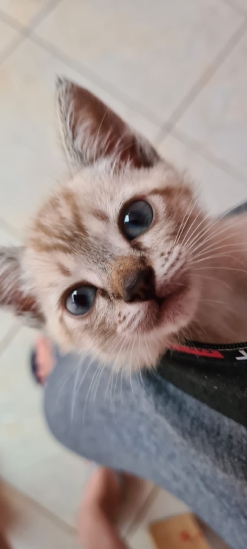 Le