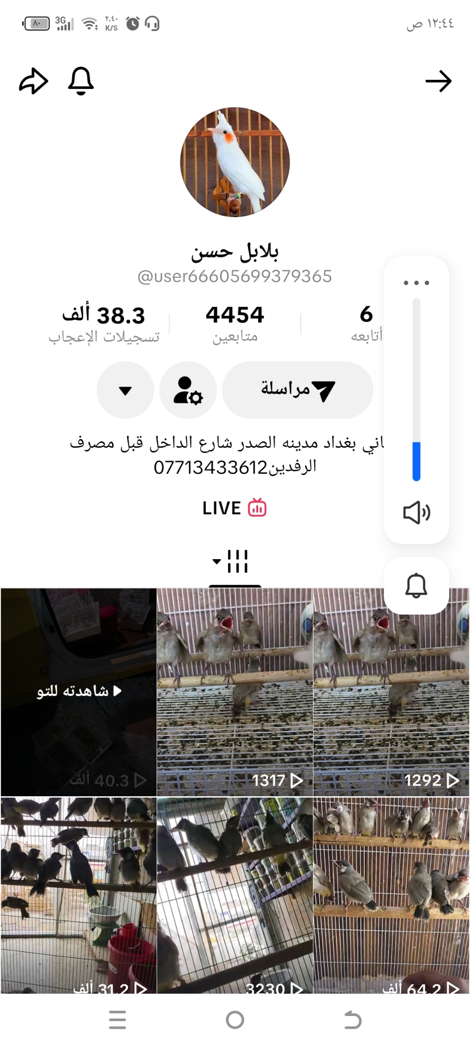 علي